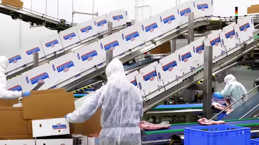 La ley electoral impide a UGT FICA León tener la mayoría en la representación del comité en Embutidos Rodríguez pese a ser los más votados