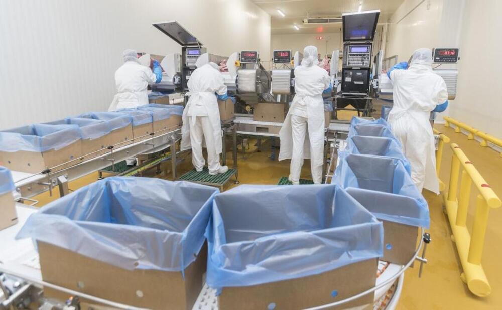 UGT FICA Burgos denuncia el incumplimiento de los acuerdos pactados entre las partes en Carnes Selectas